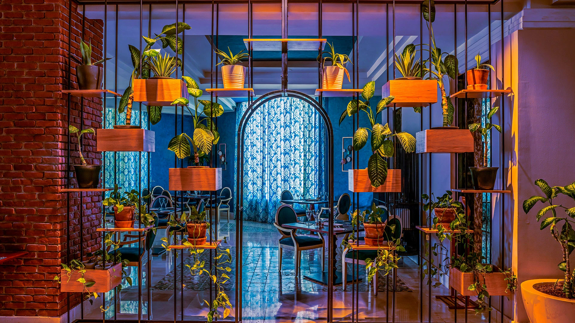 RIXOS SHARM EL SHEIKH (ADULTS ONLY 18+) Чартър до Шарм ел Шейх от Варна 2026 [VAR] – 45