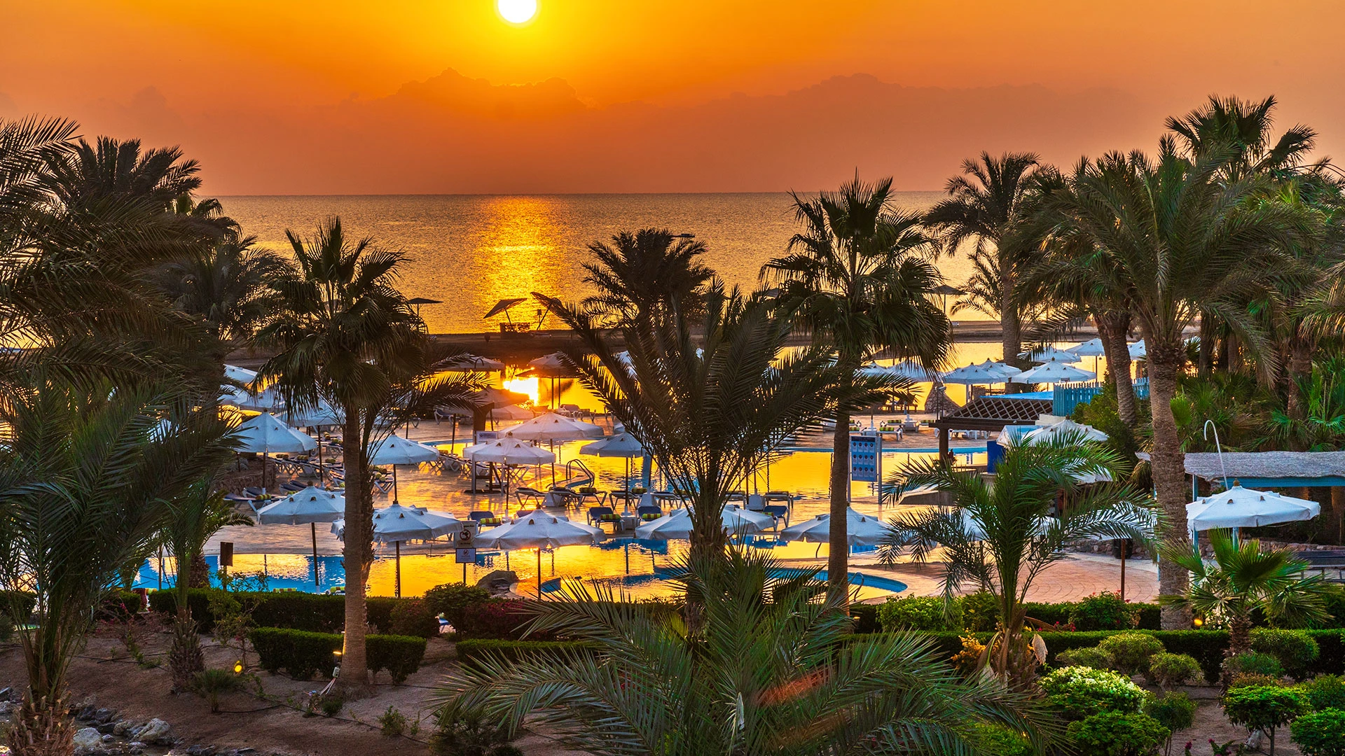 MOVENPICK RESORT & SPA EL GOUNA Чартър до Хургада от София [SOF] 2026 – 34