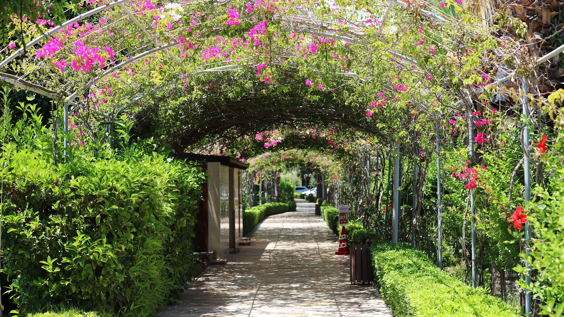 Venosa Beach Resort & Spa – 23