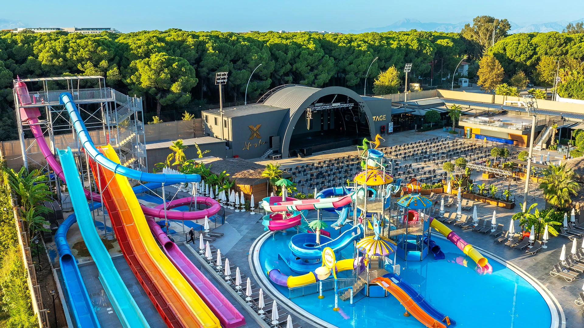 The X Belek – 7