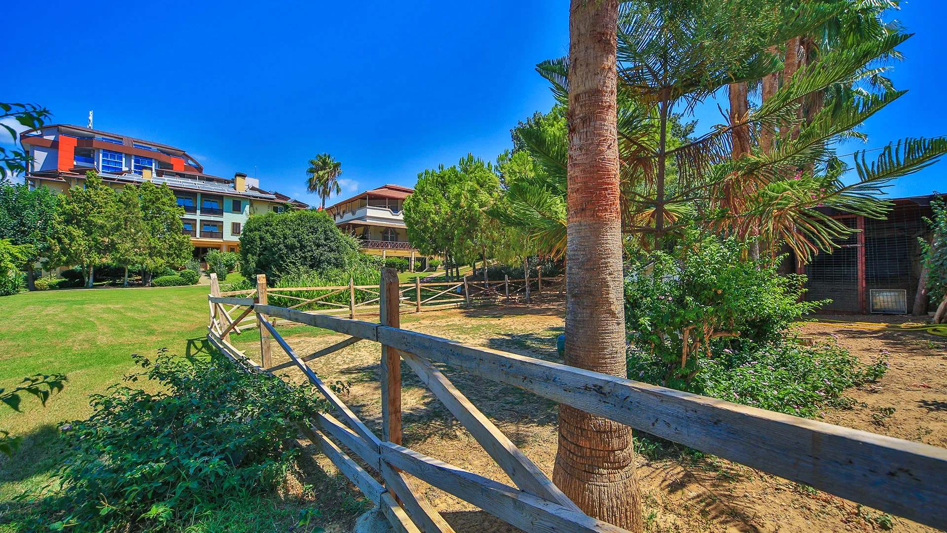 LONICERA RESORT& SPA Чартър до Анталия от София 2026 [SOF] – 43
