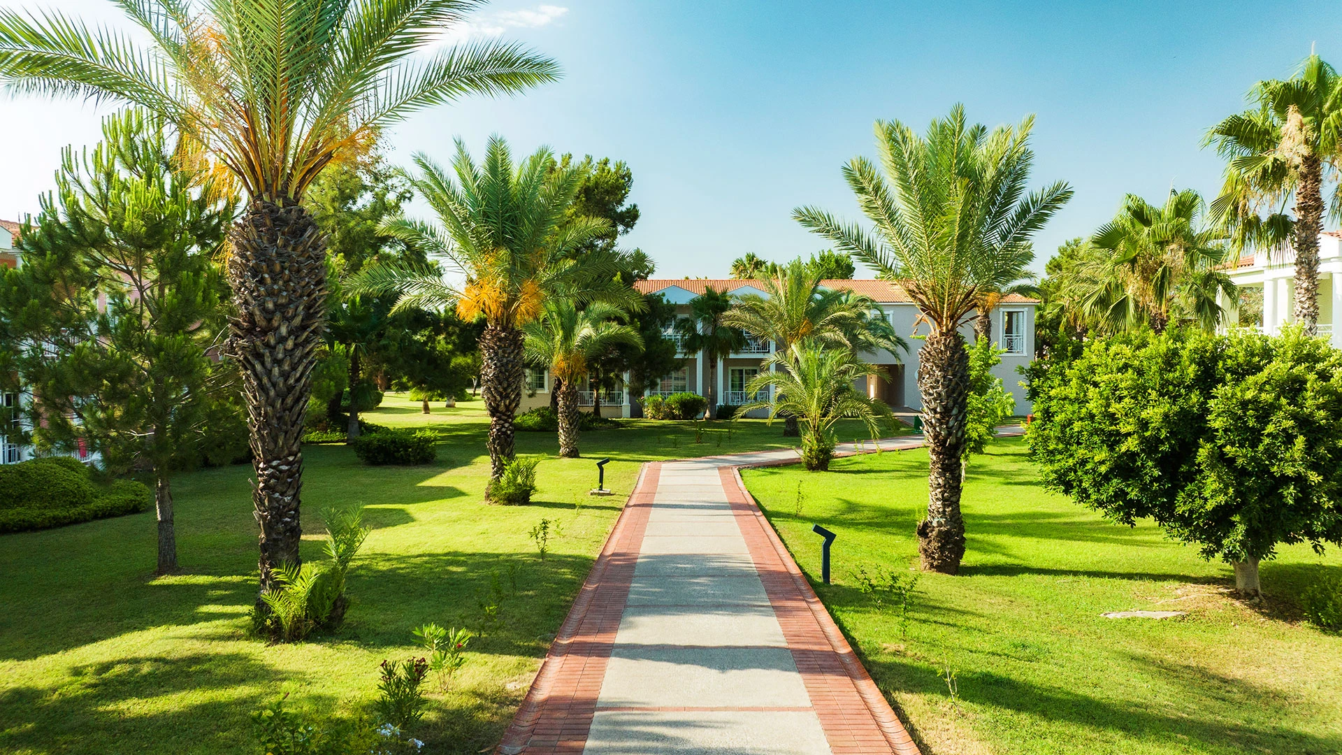 Asteria Family Resort Side (Ex Euphoria Palm) – 71