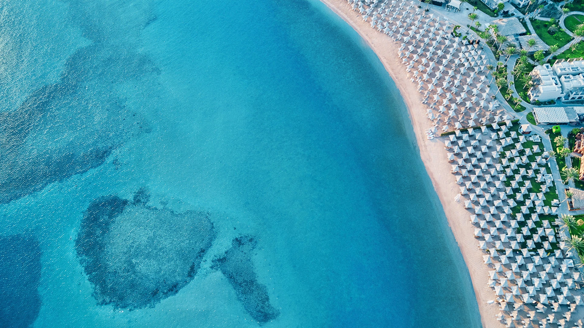JAZ MAKADI SARAYA RESORT Чартър до Хургада от София [SOF] 2026 – 51