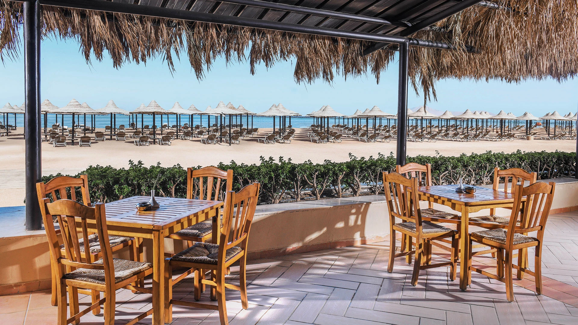 Jaz Mirabel Beach Premium – All Inclusive Почивка в Шарм ел Шейх - ЕСЕН 2026 - полет от Варна – 34