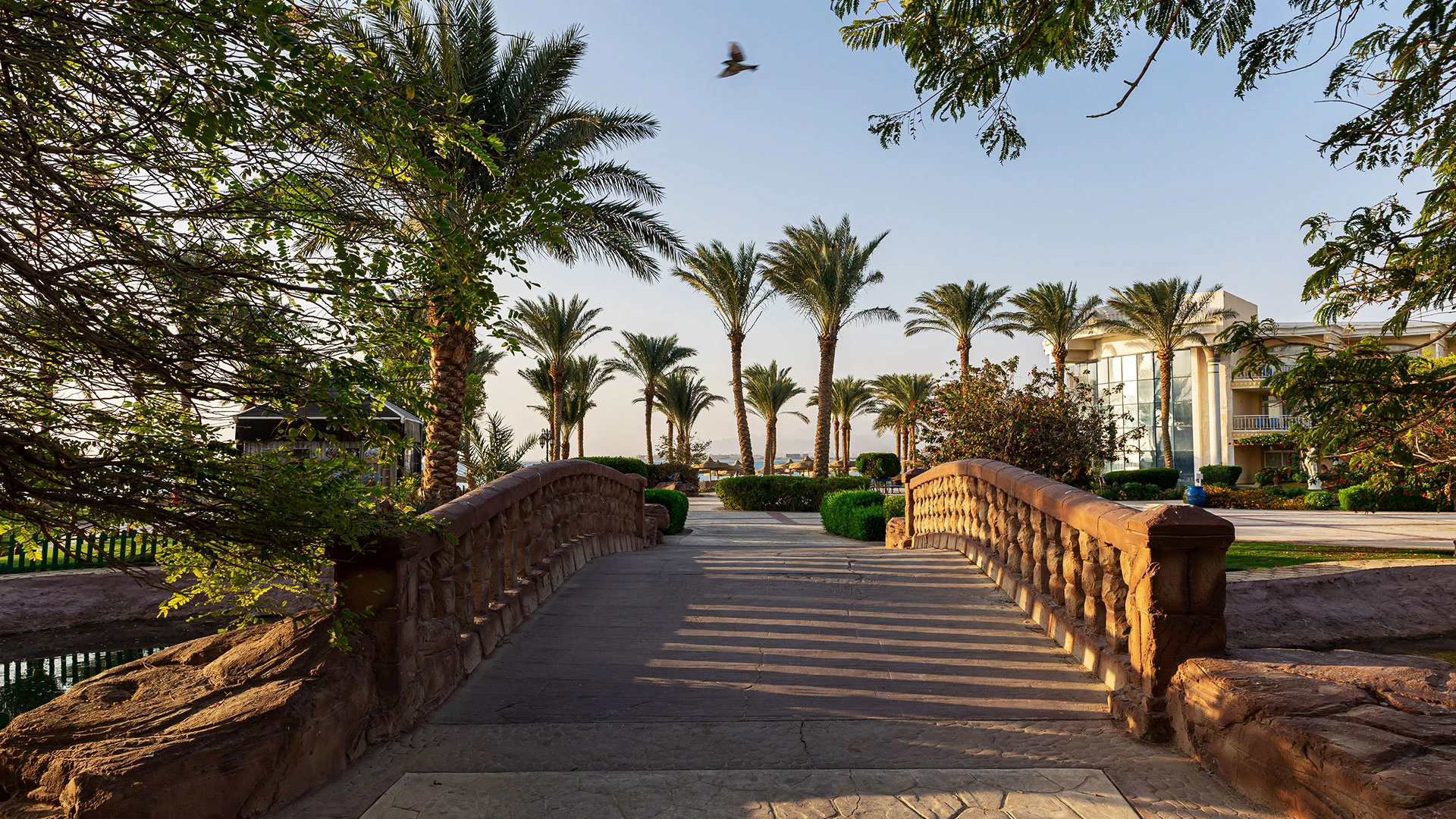 Palm Royale Soma Bay – Перлите на Египет - Хургада и Кайро с полет от София – 27