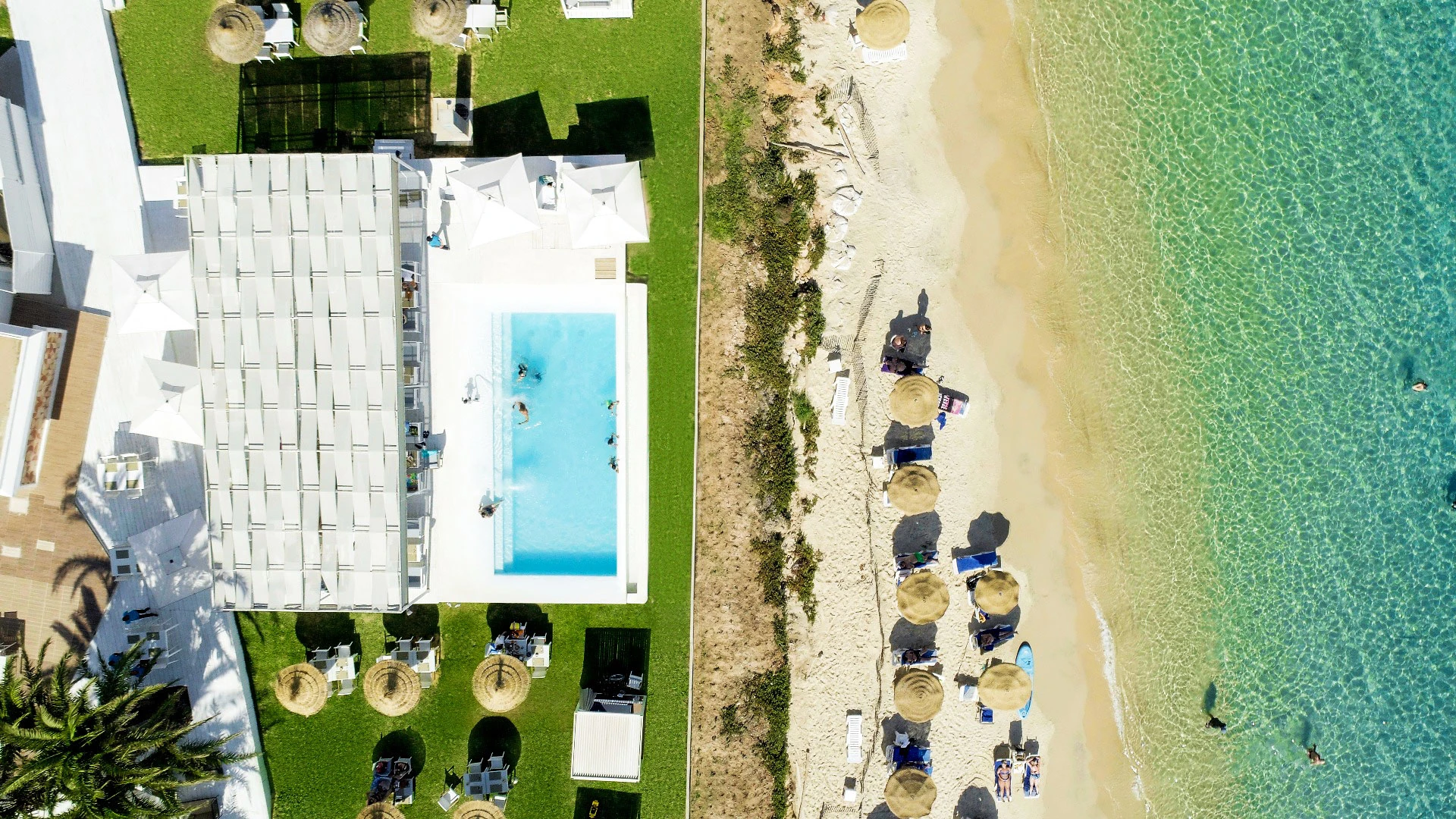 TUI Blue Palm Beach Hammamet Superior – ТУНИС 2026 - 8 дни ALL INCLUSIVE почивка с дъх на екзотика - полет от София - Понеделник и Петък – 15