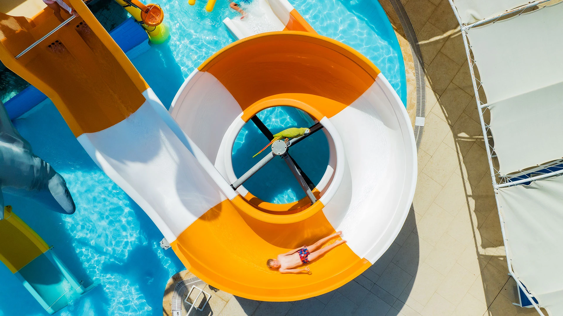 Asteria Family Resort Side (Ex Euphoria Palm) – 100