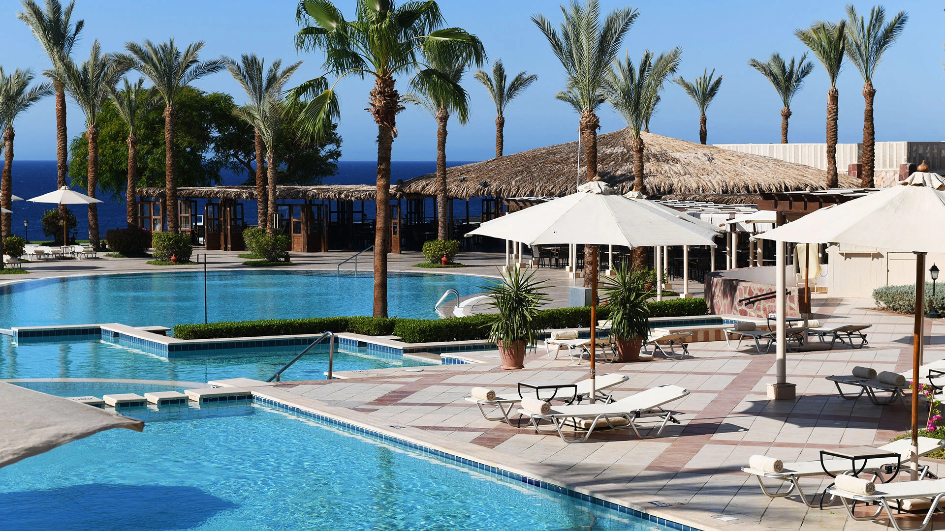 JAZ FANARA RESORT Чартър до Шарм ел Шейх от Варна 2026 [VAR] – 28