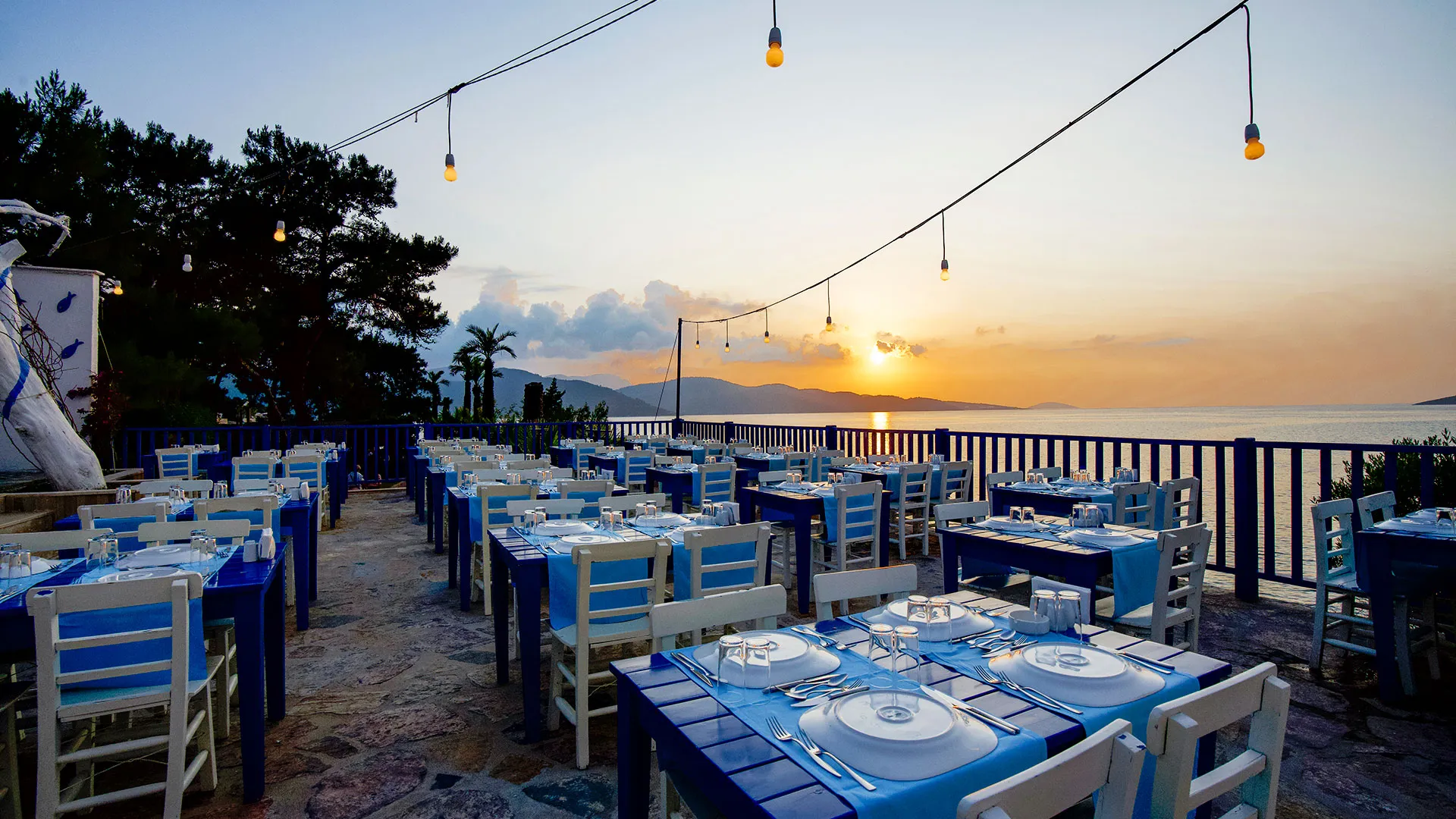 Blue Dreams Resort – 42