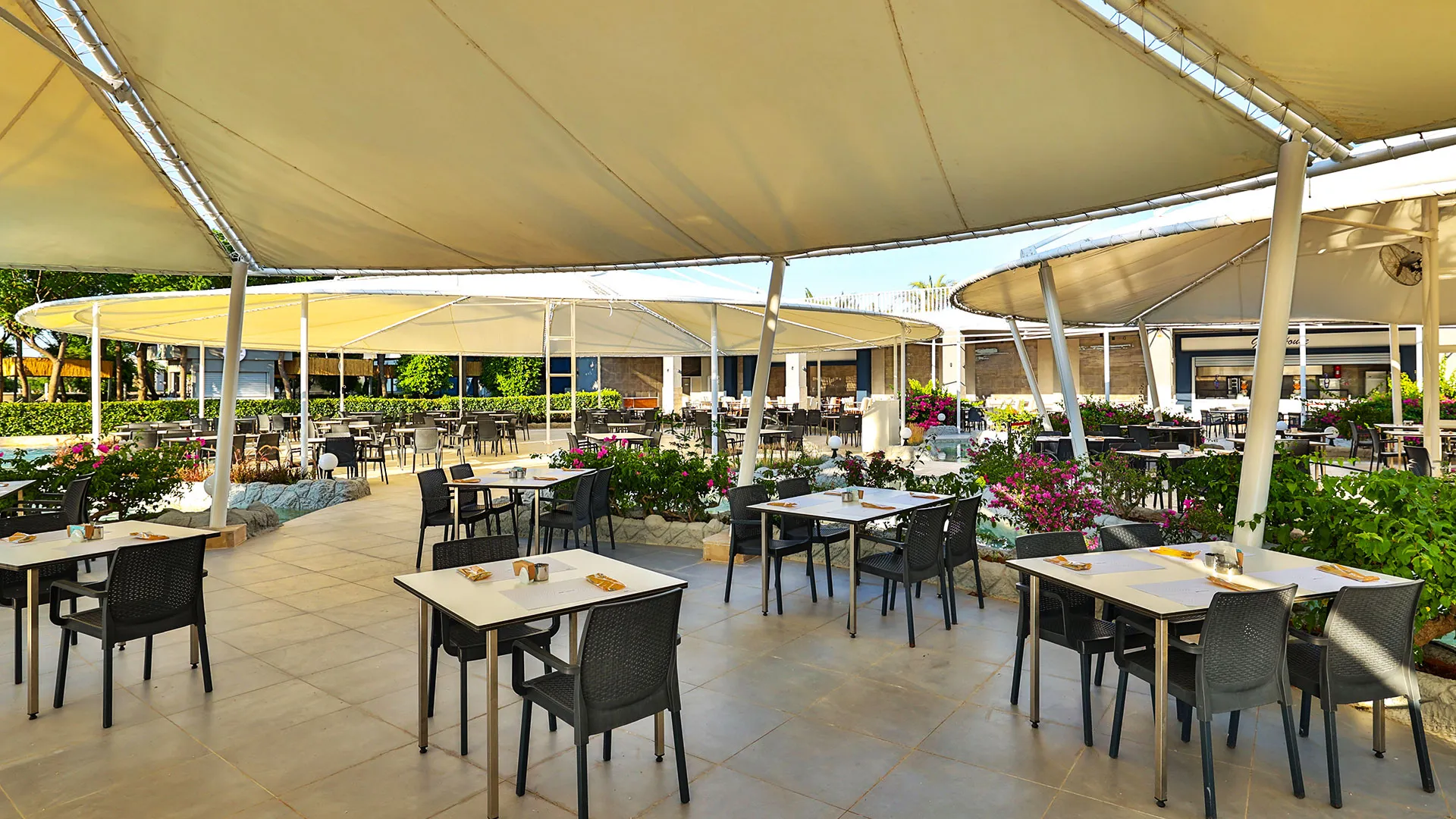 Crystal Centro – 44