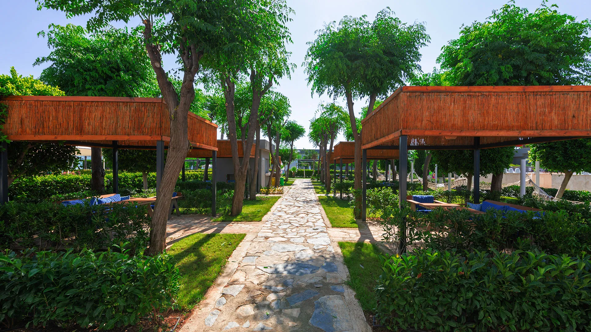 Crystal Centro – 64