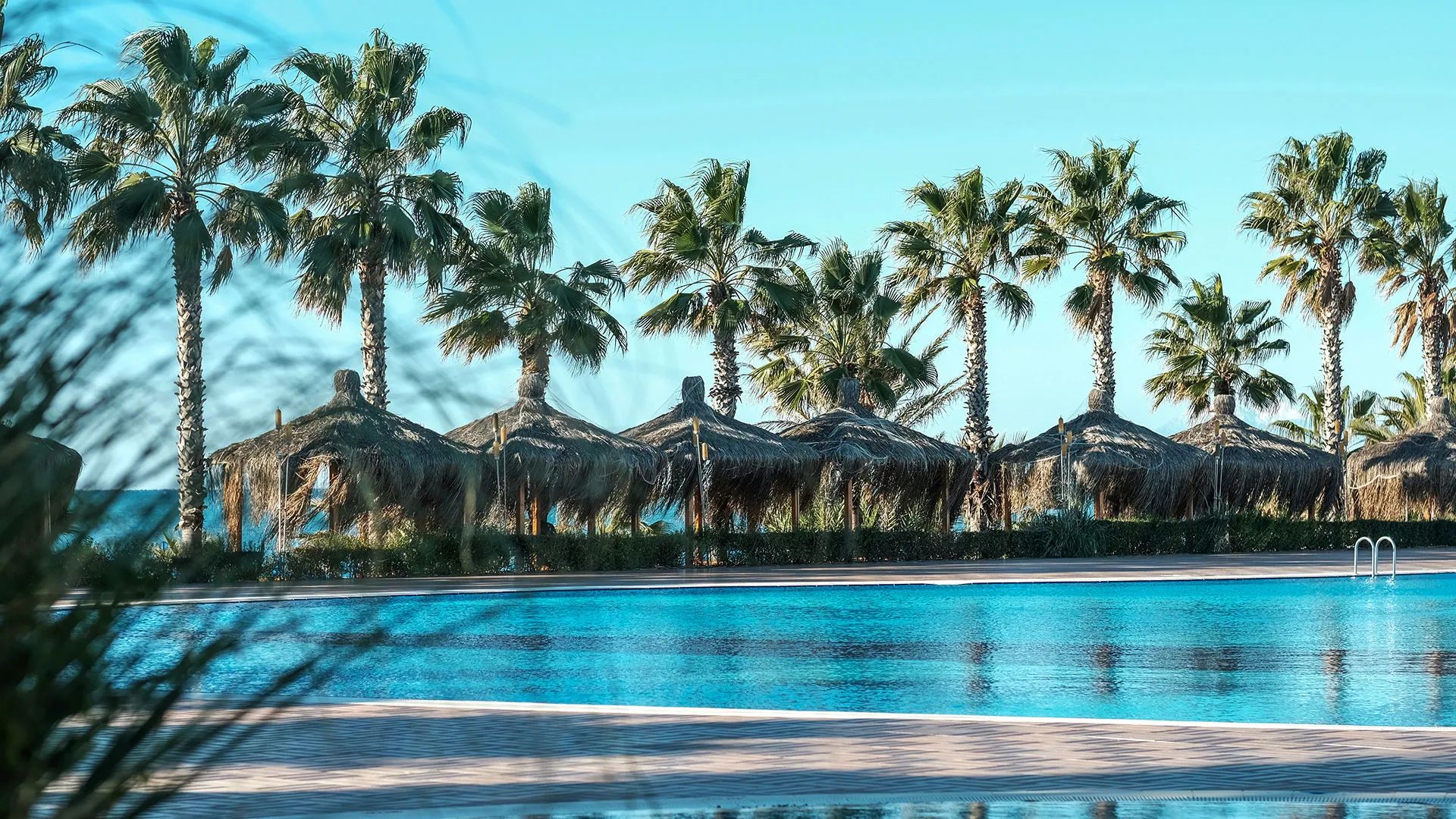 PALOMA OCEANA RESORT Чартър до Анталия от Варна 2026 [VAR] – 7