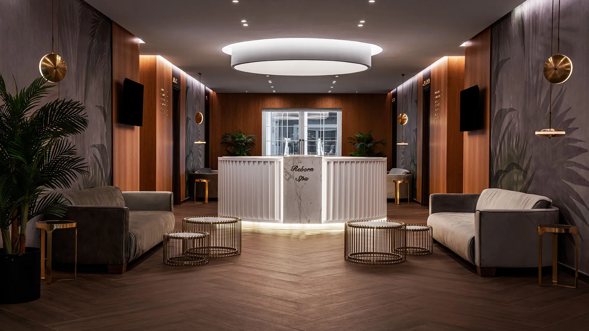 Papillon Belvil Club – 100