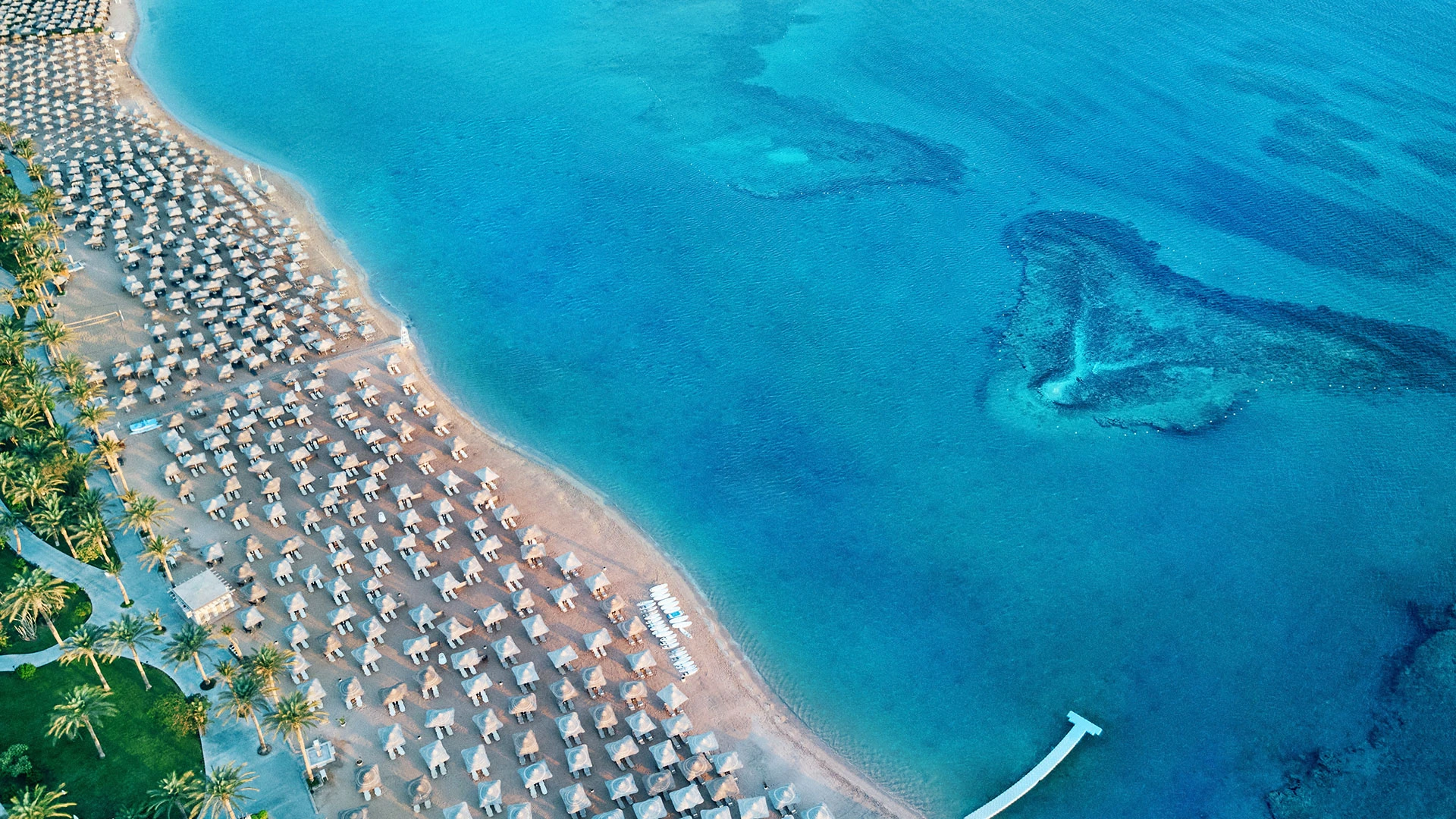 JAZ MAKADI SARAYA RESORT Чартър до Хургада от София [SOF] 2026 – 3