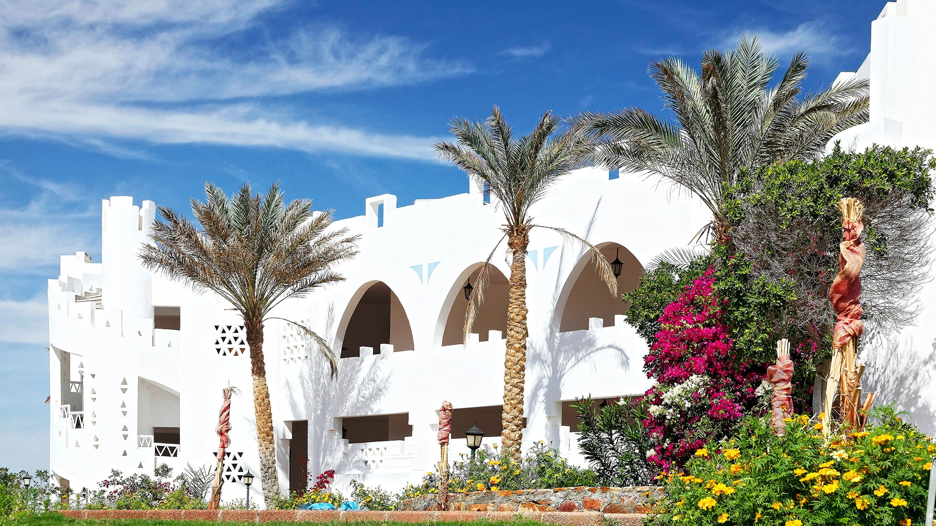 THE THREE CORNERS EQUINOX BEACH RESORT Чартър до Хургада от София [SOF] 2026 – 3