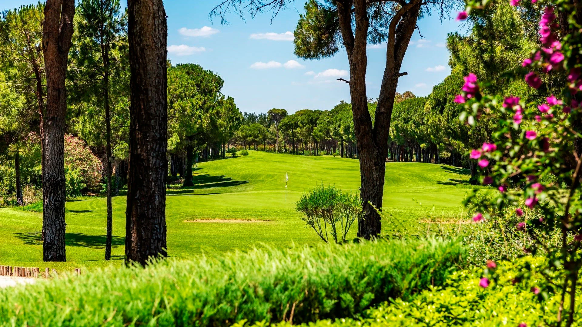 CORNELIA DIAMOND GOLF RESORT & SPA Нова Година в Анталия с чартър от Пловдив – 15