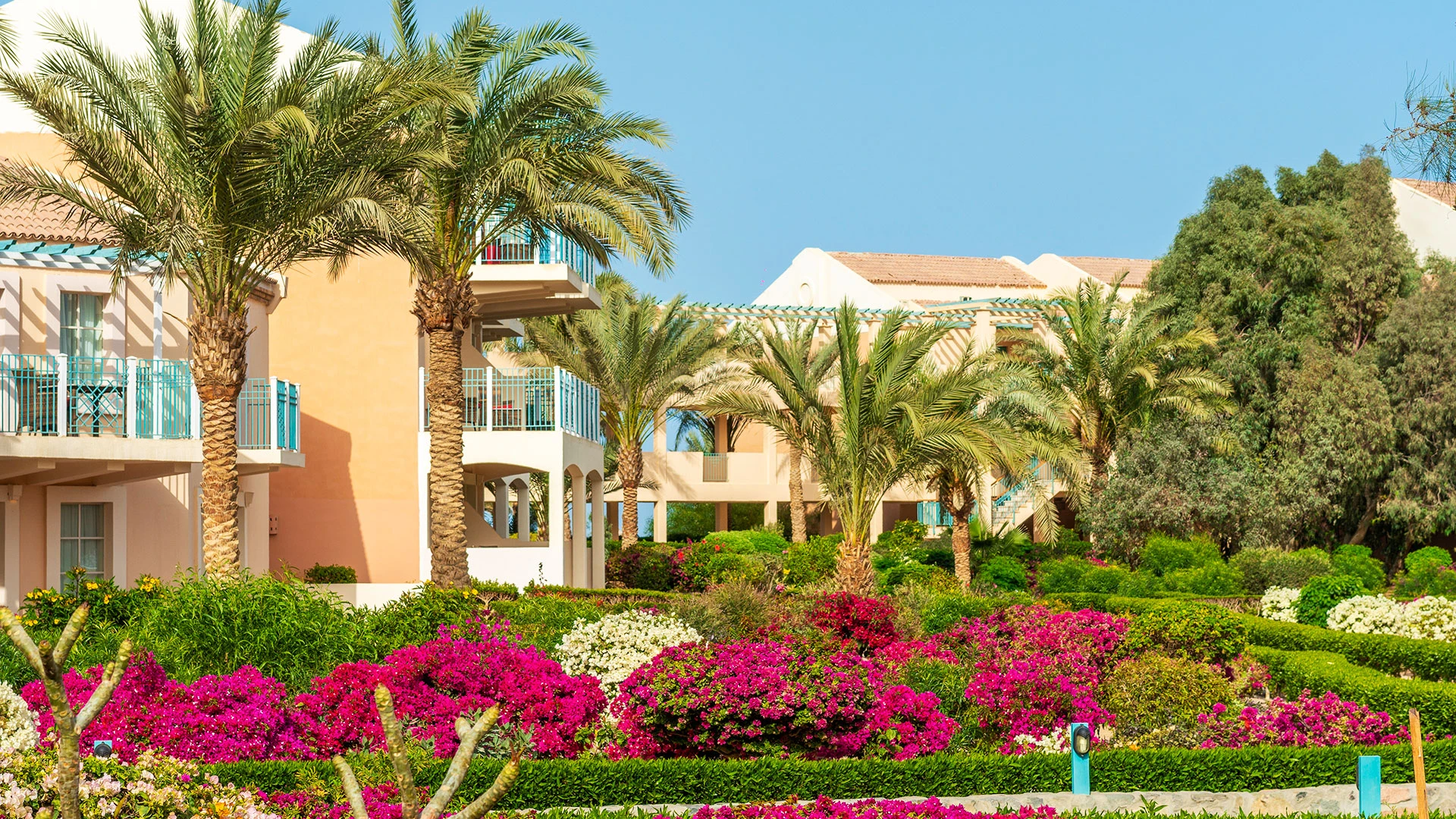 MOVENPICK RESORT & SPA EL GOUNA Чартър до Хургада от София [SOF] 2026 – 26