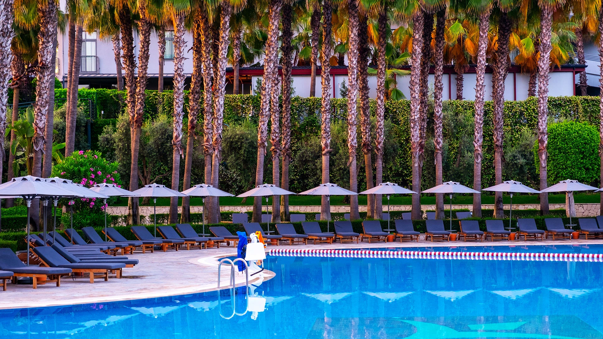 Miramare Queen Hotel – 88