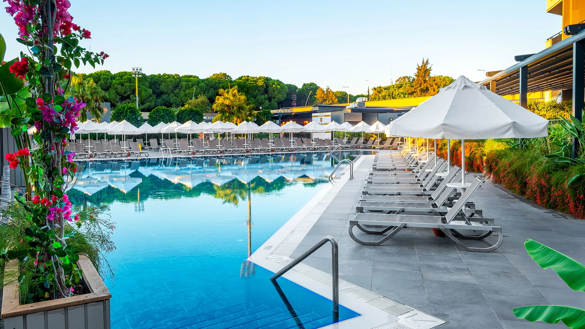 The X Belek – 40