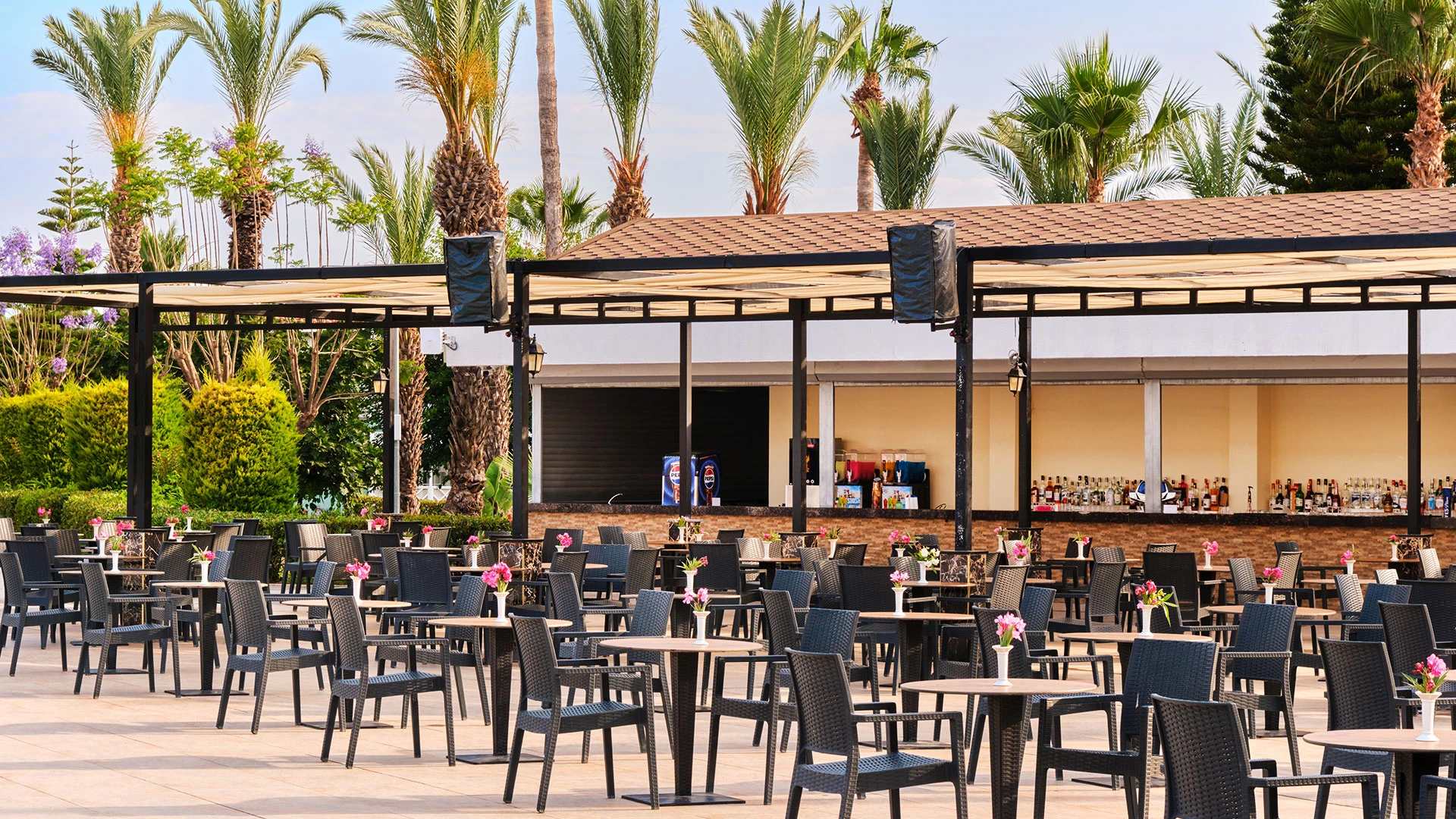 Asteria Family Resort Side (Ex Euphoria Palm) – 11