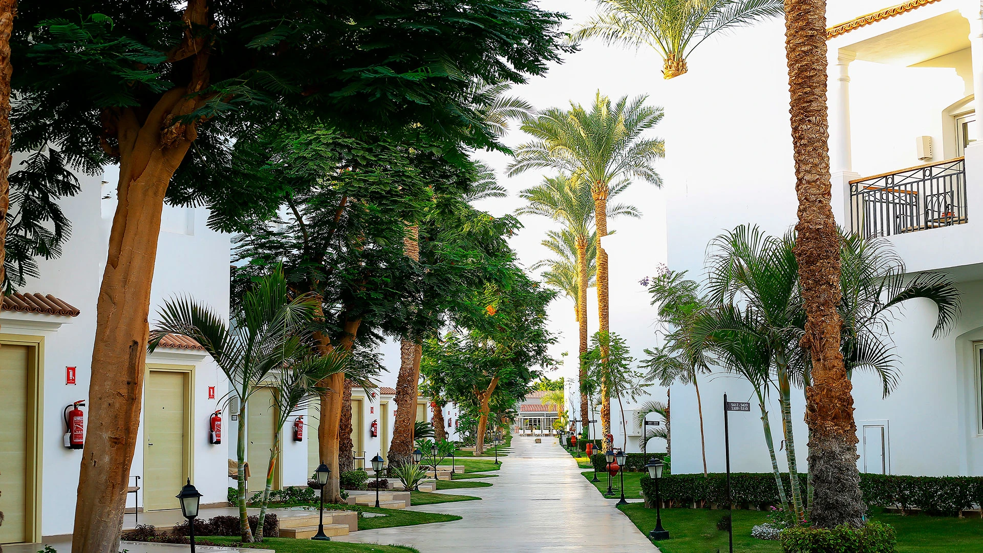 JAZ FANARA RESORT Чартър до Шарм ел Шейх от Варна 2026 [VAR] – 20