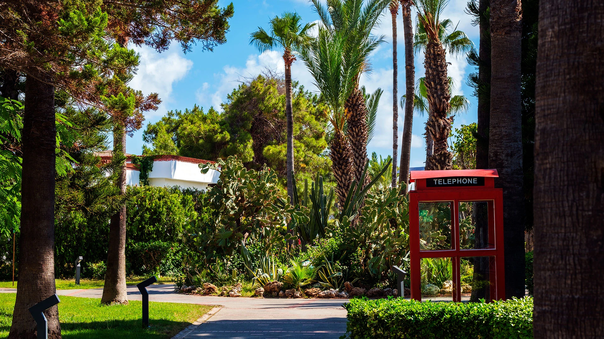 Asteria Family Resort Side (Ex Euphoria Palm) – 52