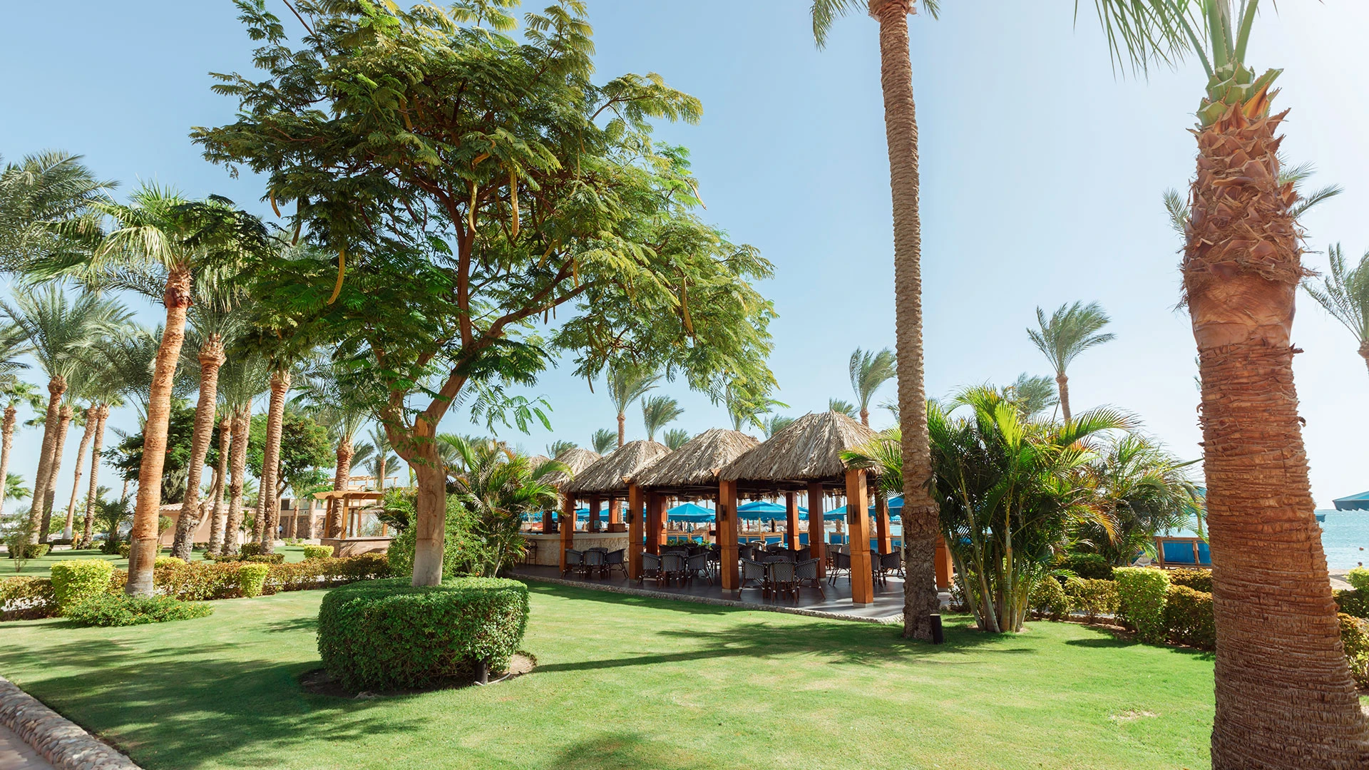 CONTINENTAL HURGHADA RESORT Чартър до Хургада от София [SOF] 2026 – 36