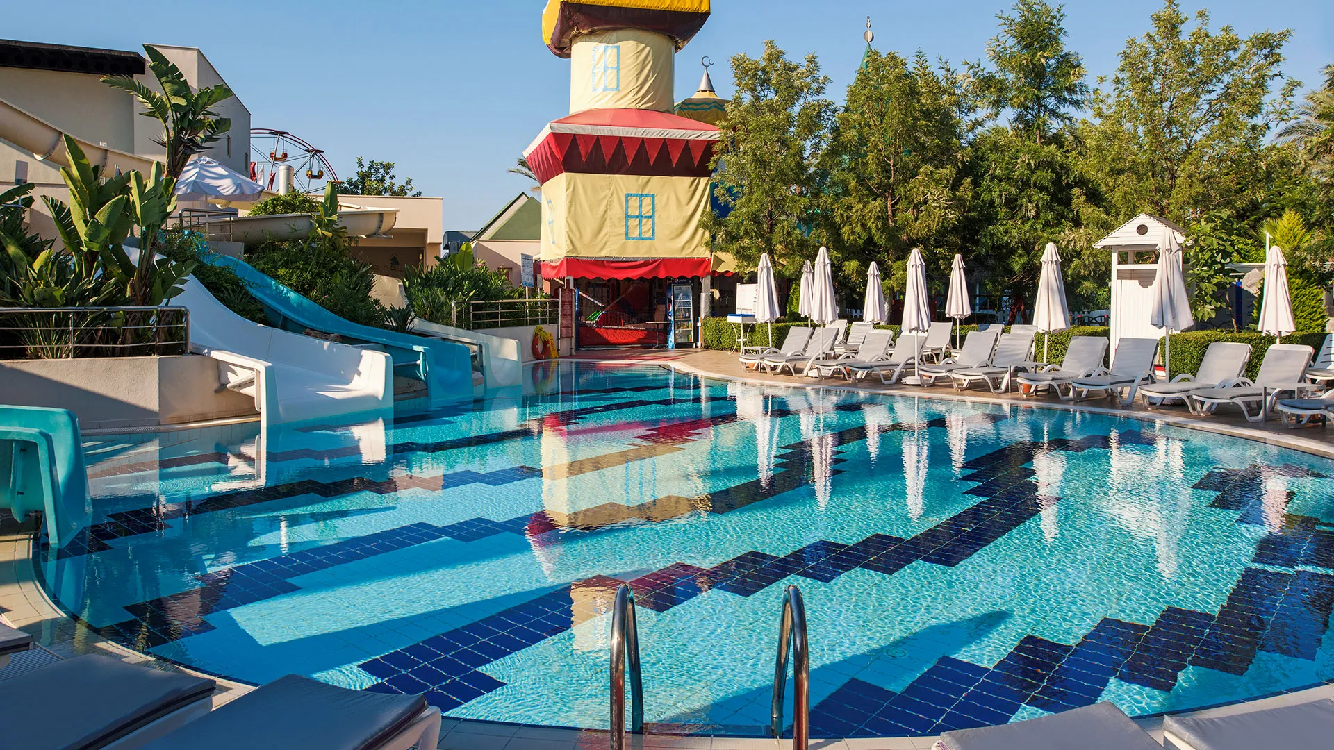 Delphin Diva – 5