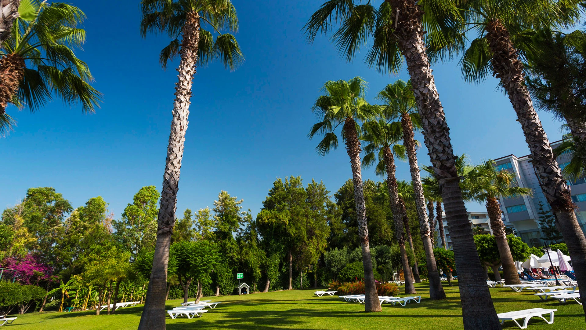 Terrace Beach Resort – 19