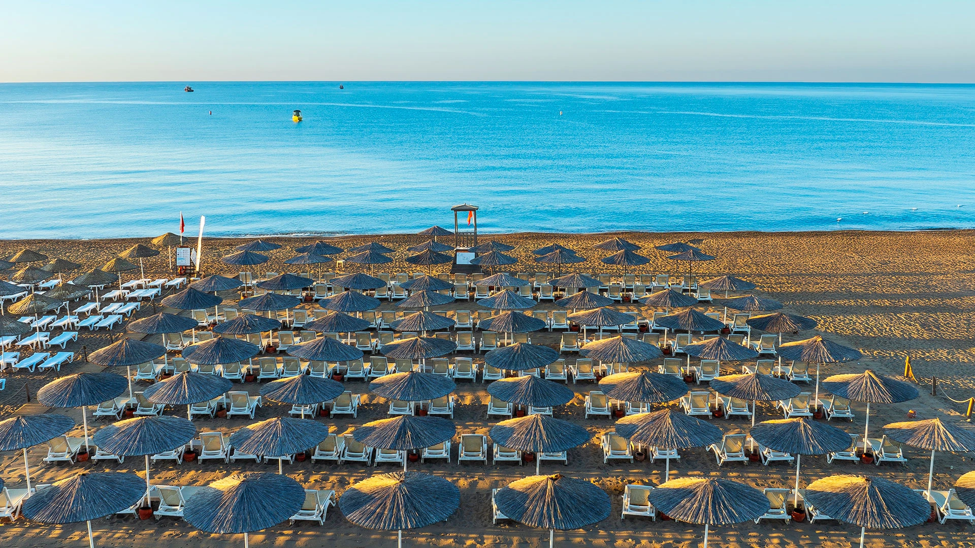 The X Belek – 41
