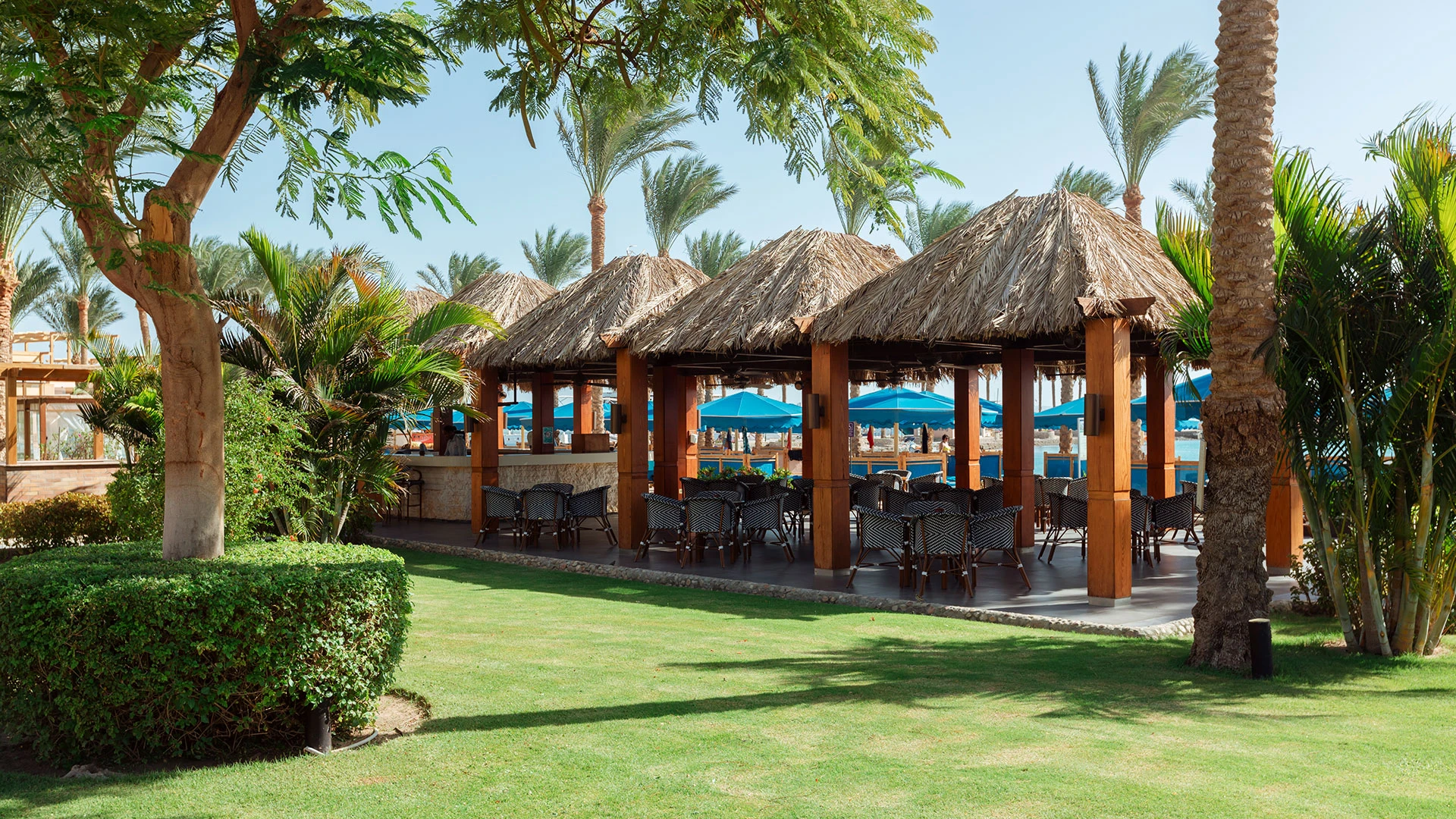 CONTINENTAL HURGHADA RESORT Чартър до Хургада от София [SOF] 2026 – 74