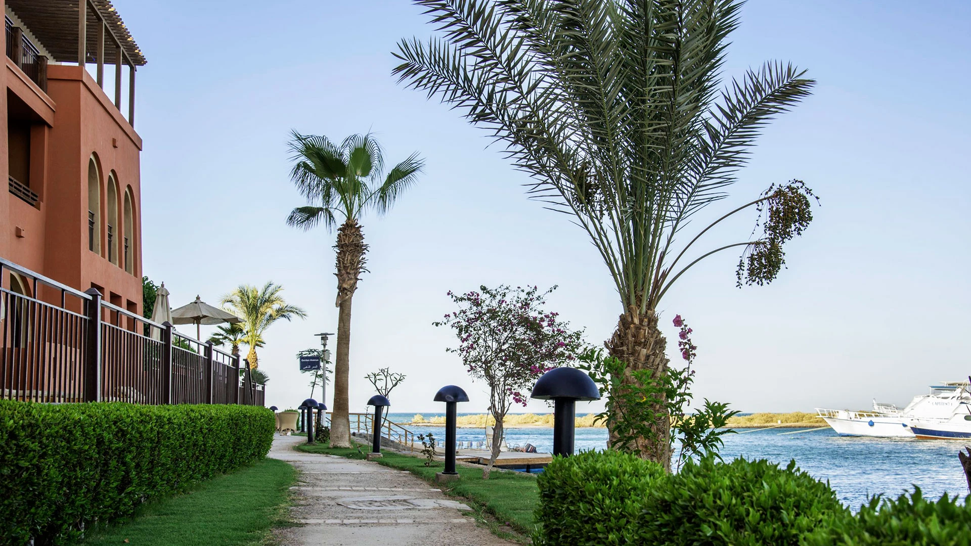 THREE CORNERS OCEAN VIEW EL GOUNA (ADULT ONLY +16) Чартър до Хургада от София [SOF] 2026 – 37