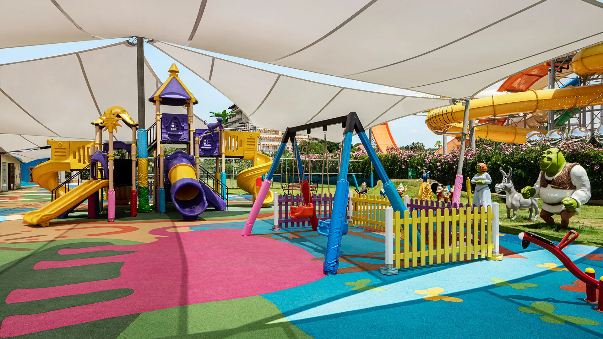 Papillon Belvil Club – 62