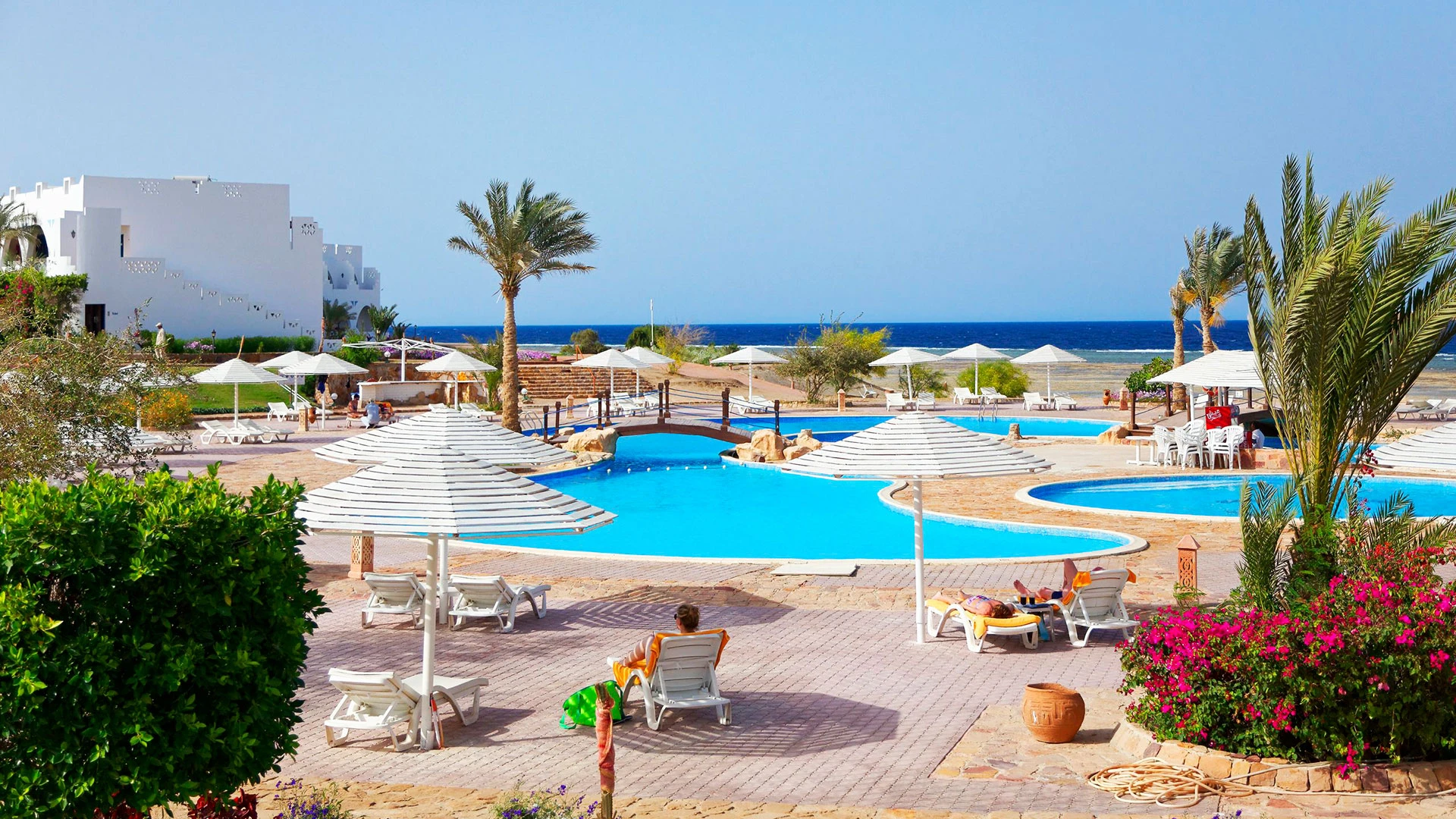 THE THREE CORNERS EQUINOX BEACH RESORT Чартър до Хургада от София [SOF] 2026 – 6