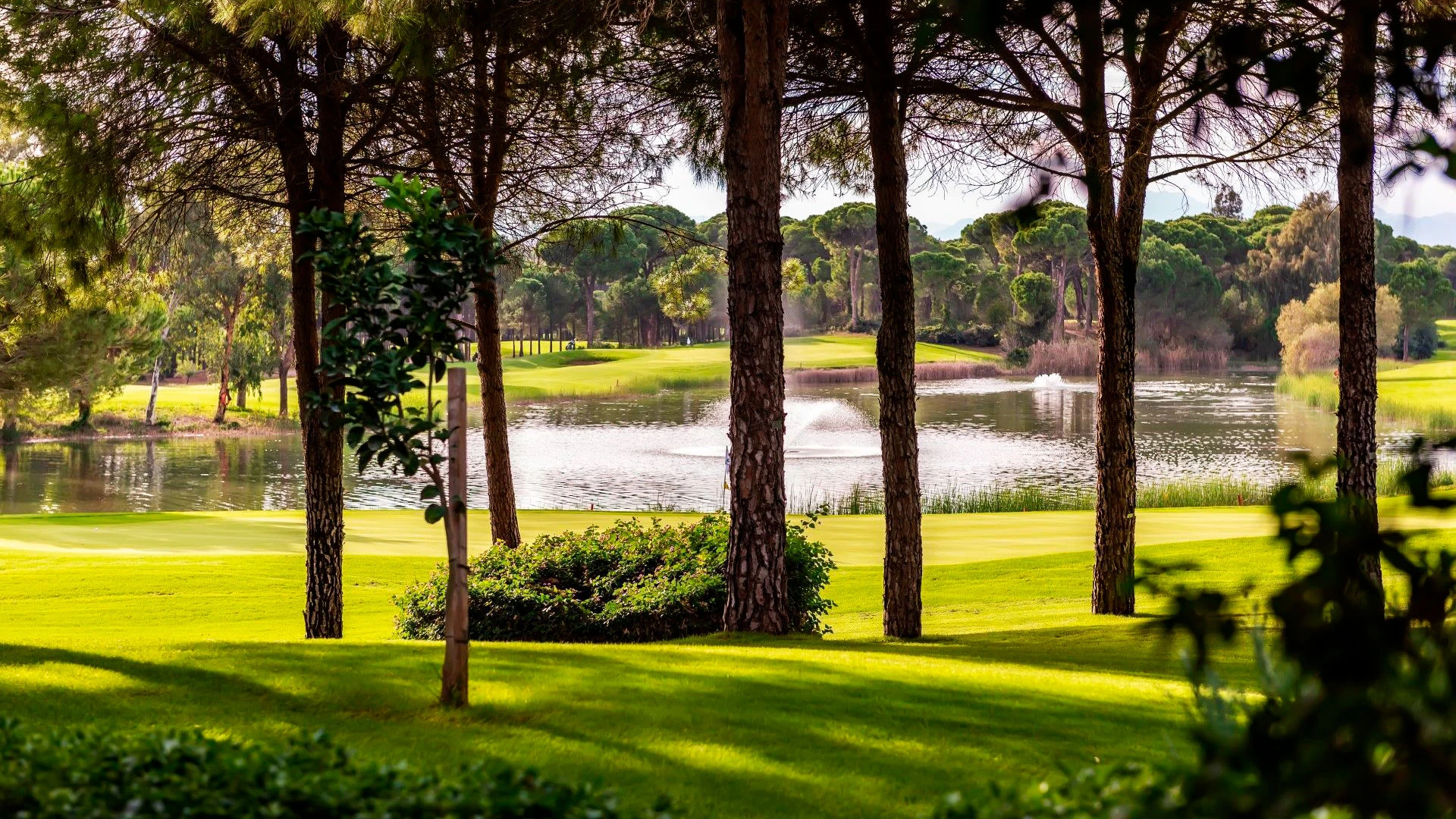CORNELIA DIAMOND GOLF RESORT & SPA Нова Година в Анталия с чартър от Пловдив – 33