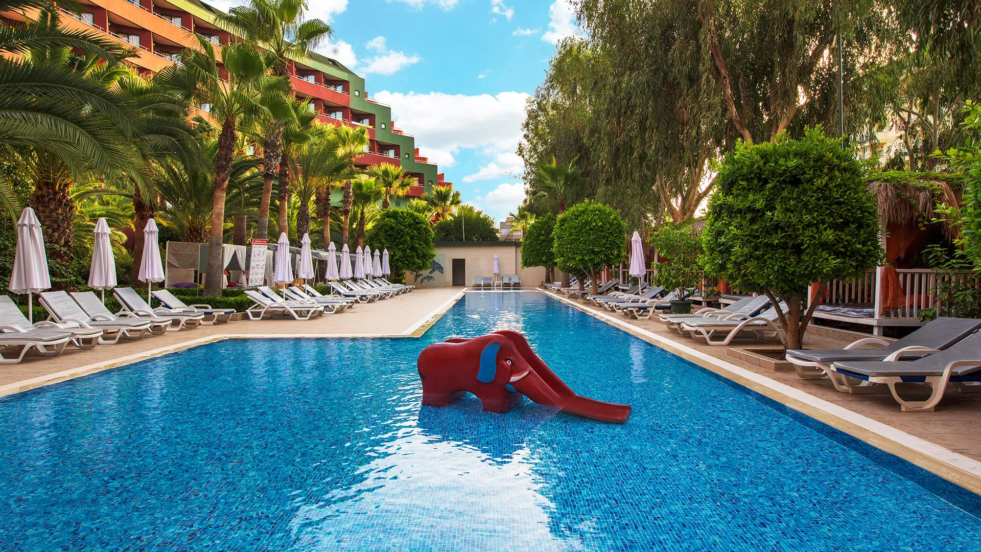Delphin Deluxe – 22