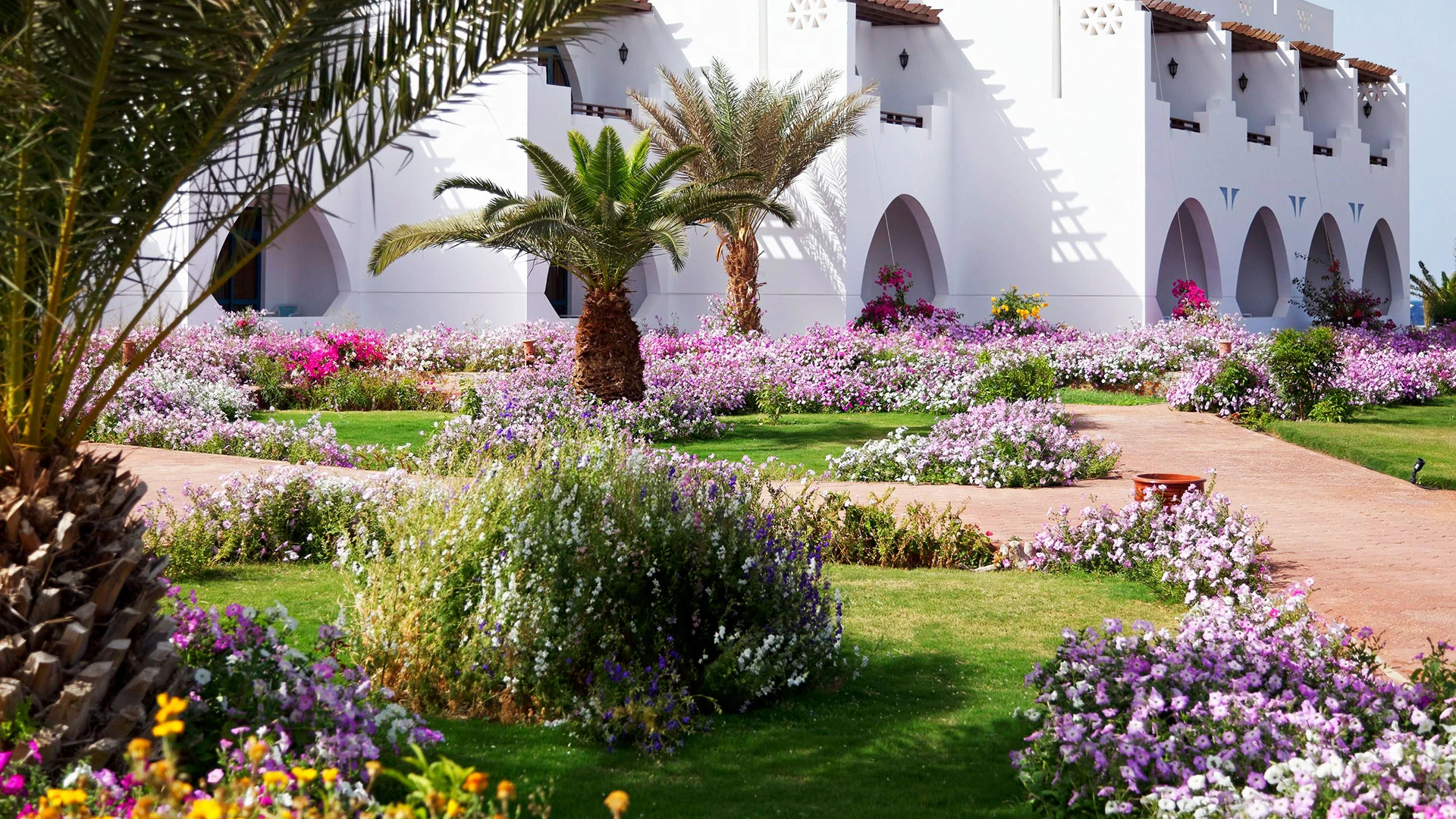 THE THREE CORNERS EQUINOX BEACH RESORT Чартър до Хургада от София [SOF] 2026 – 2
