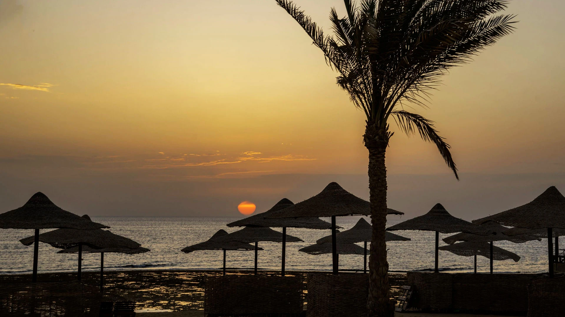 THE THREE CORNERS SEA BEACH RESORT Нова Година - Почивка в Хургада с чартър от София – 40