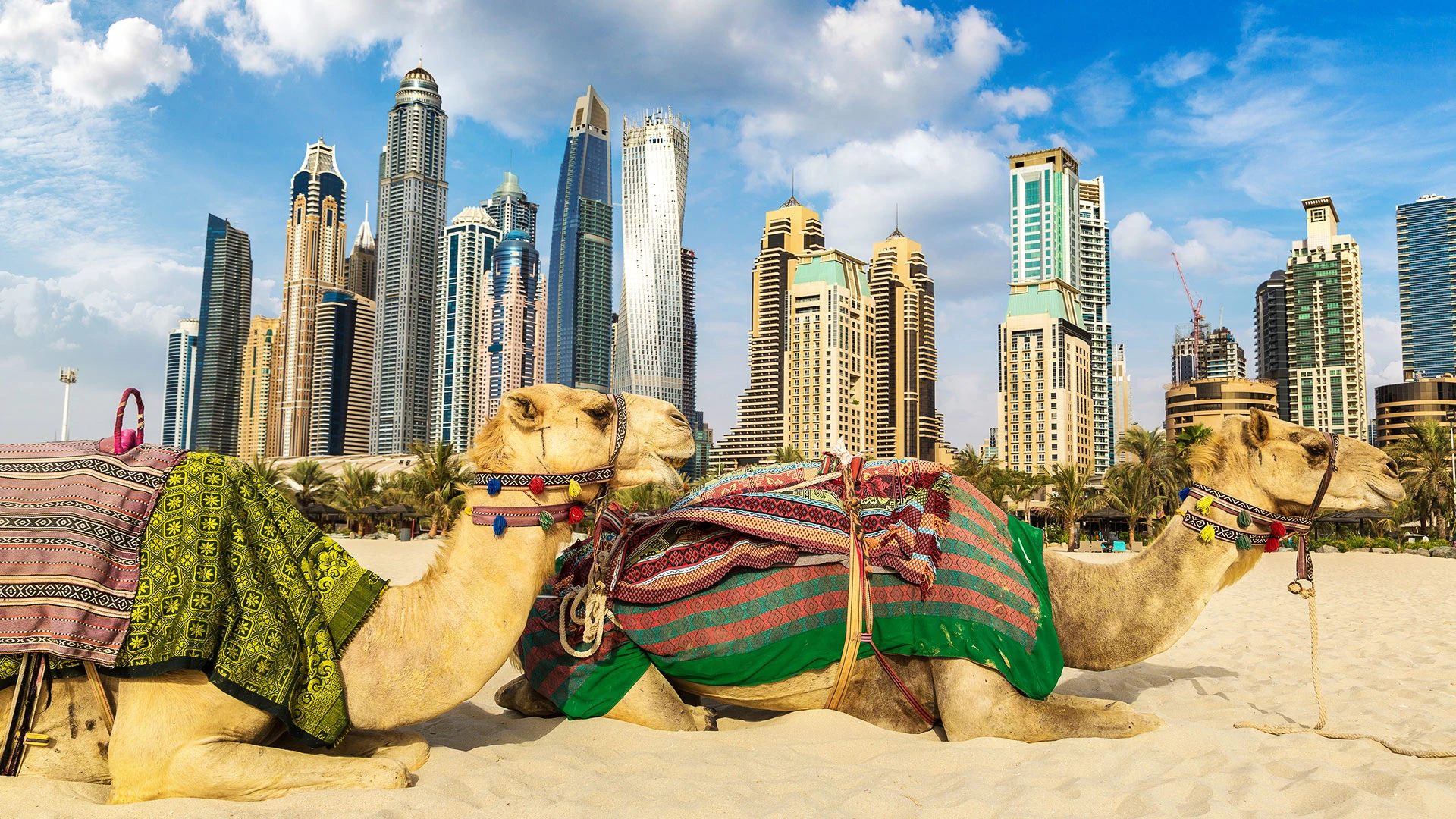 Golden Tulip Al Barsha – ЧУДЕСАТА на ДУБАЙ и АБУ ДАБИ - лукс и БОНУС 6 екскурзии и всички входни такси - от София – 2