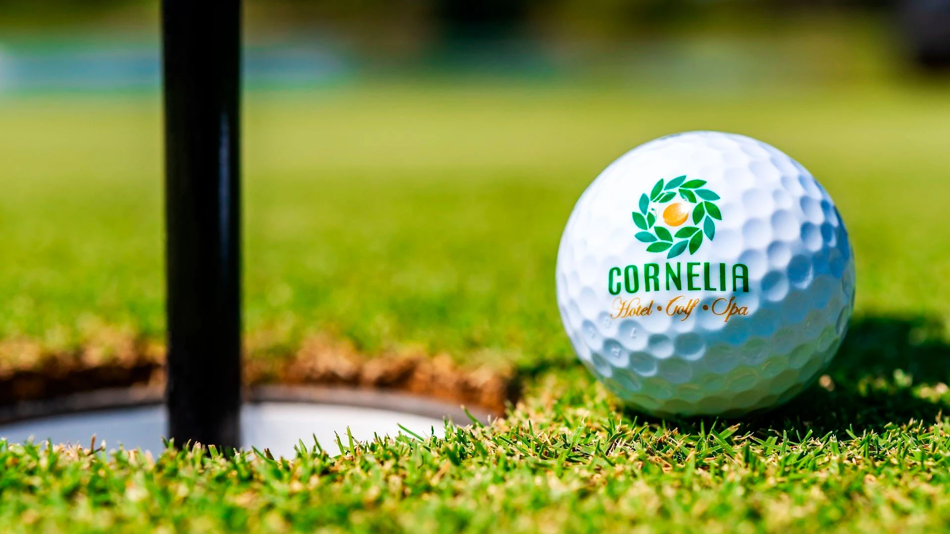 CORNELIA DIAMOND GOLF RESORT & SPA Нова Година в Анталия с чартър от Пловдив – 43
