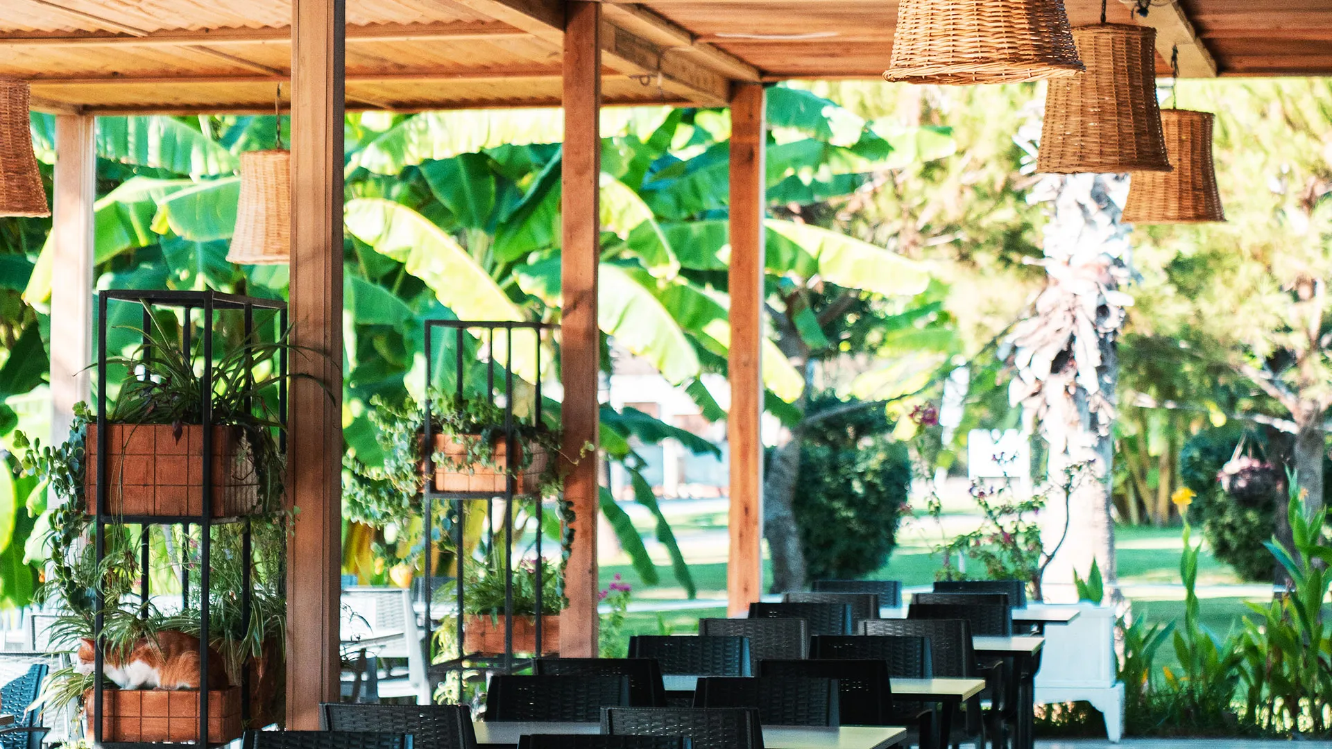 SURAL RESORT HOTEL Нова Година в Анталия с чартър от Пловдив – 15
