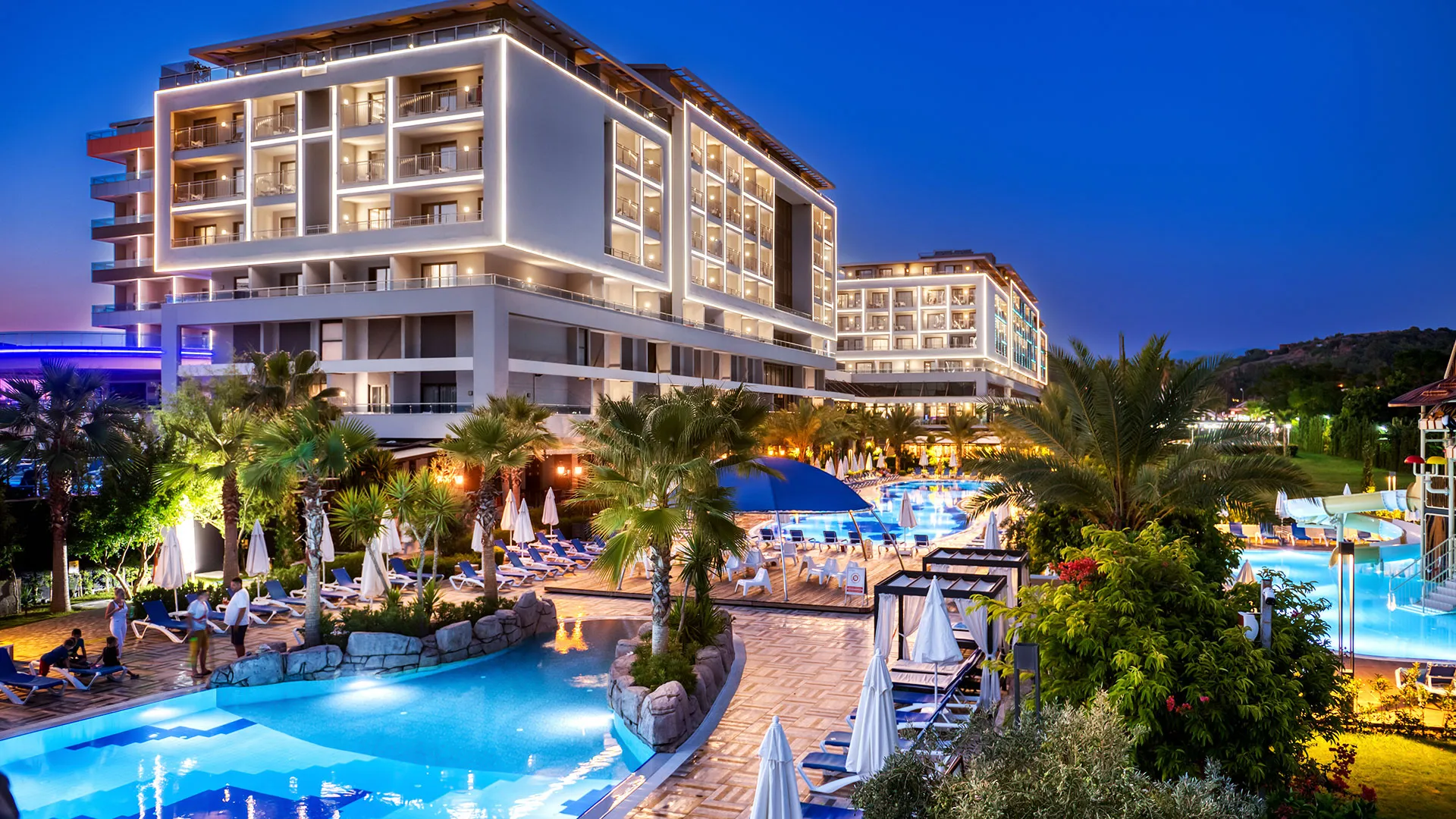 Numa Bay Exclusive – 25