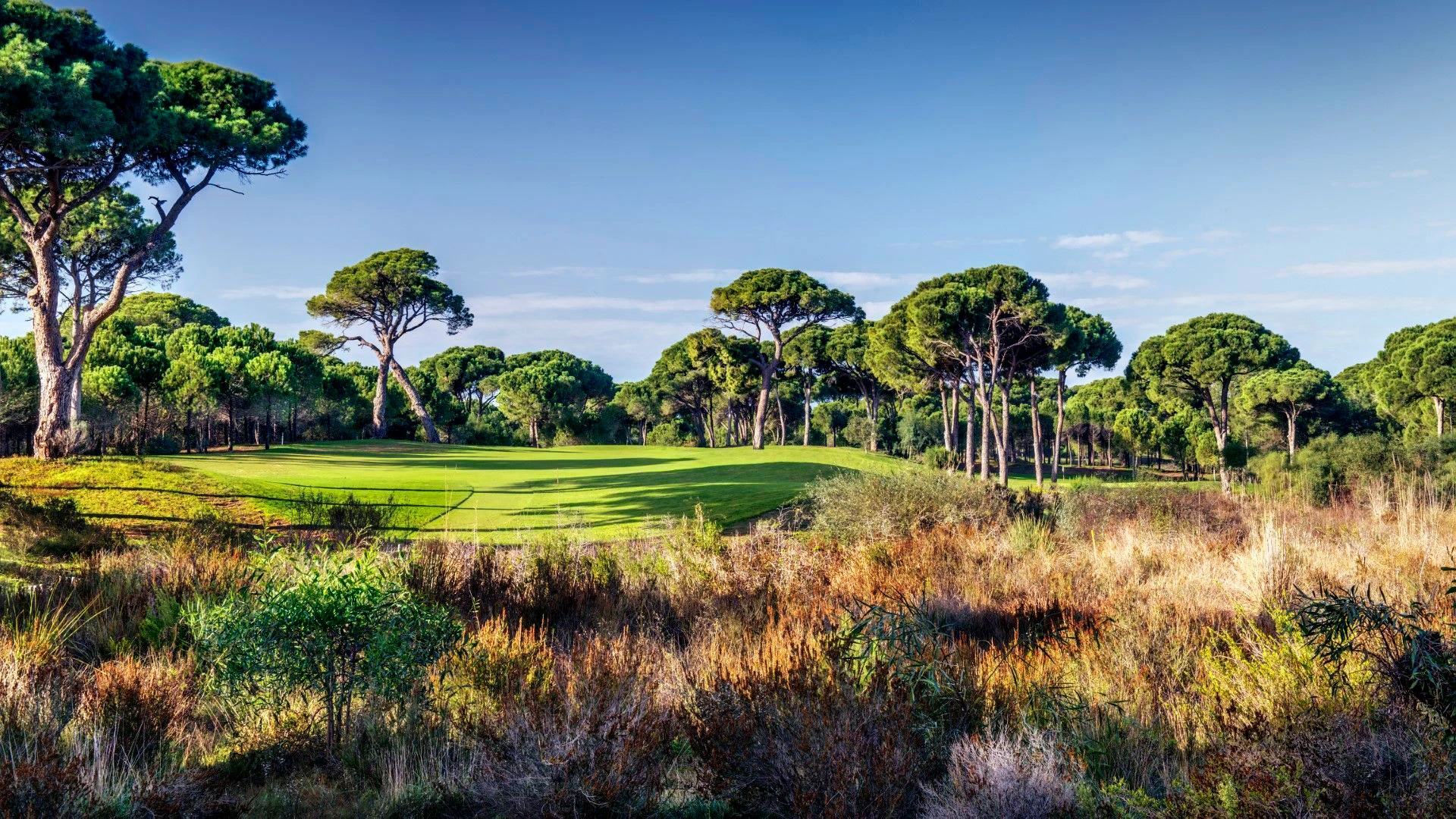 CORNELIA DIAMOND GOLF RESORT & SPA Нова Година в Анталия с чартър от Пловдив – 13