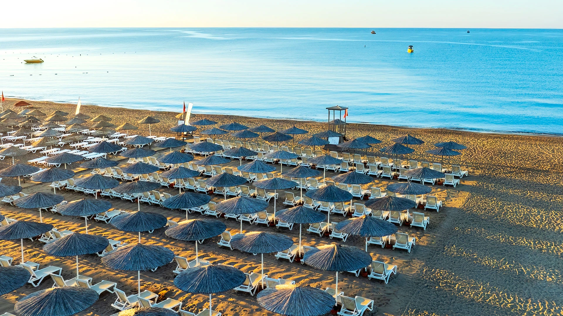 The X Belek – 44