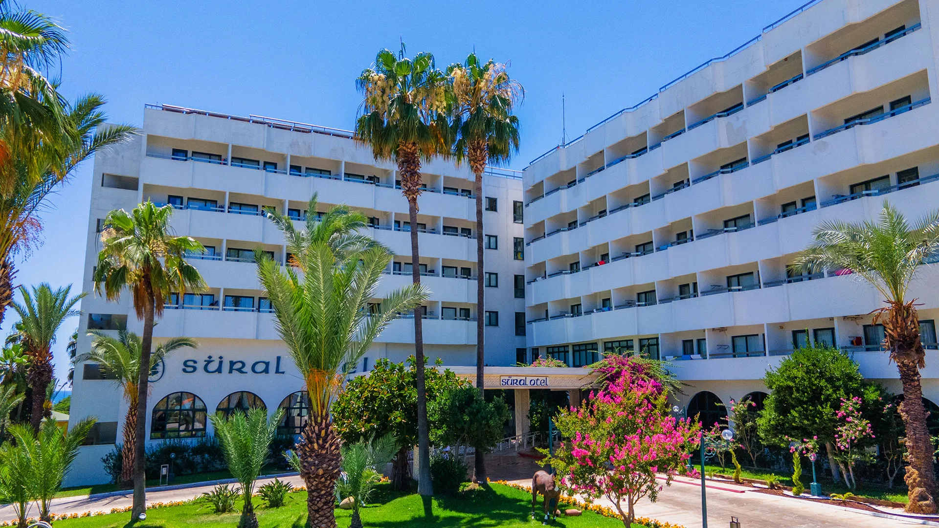 Sural Hotel – 9
