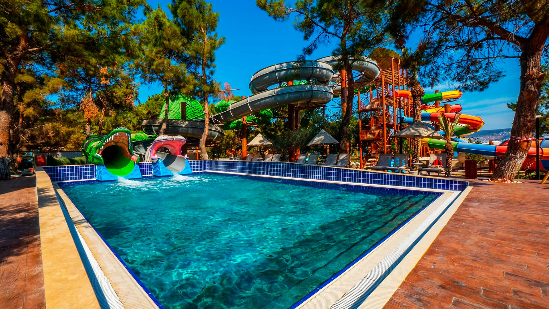 Long Beach Club Nature – 36