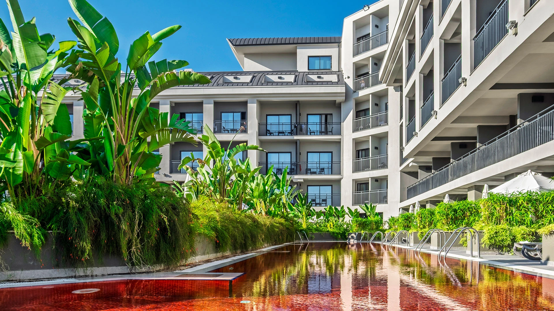 The X Belek – 54