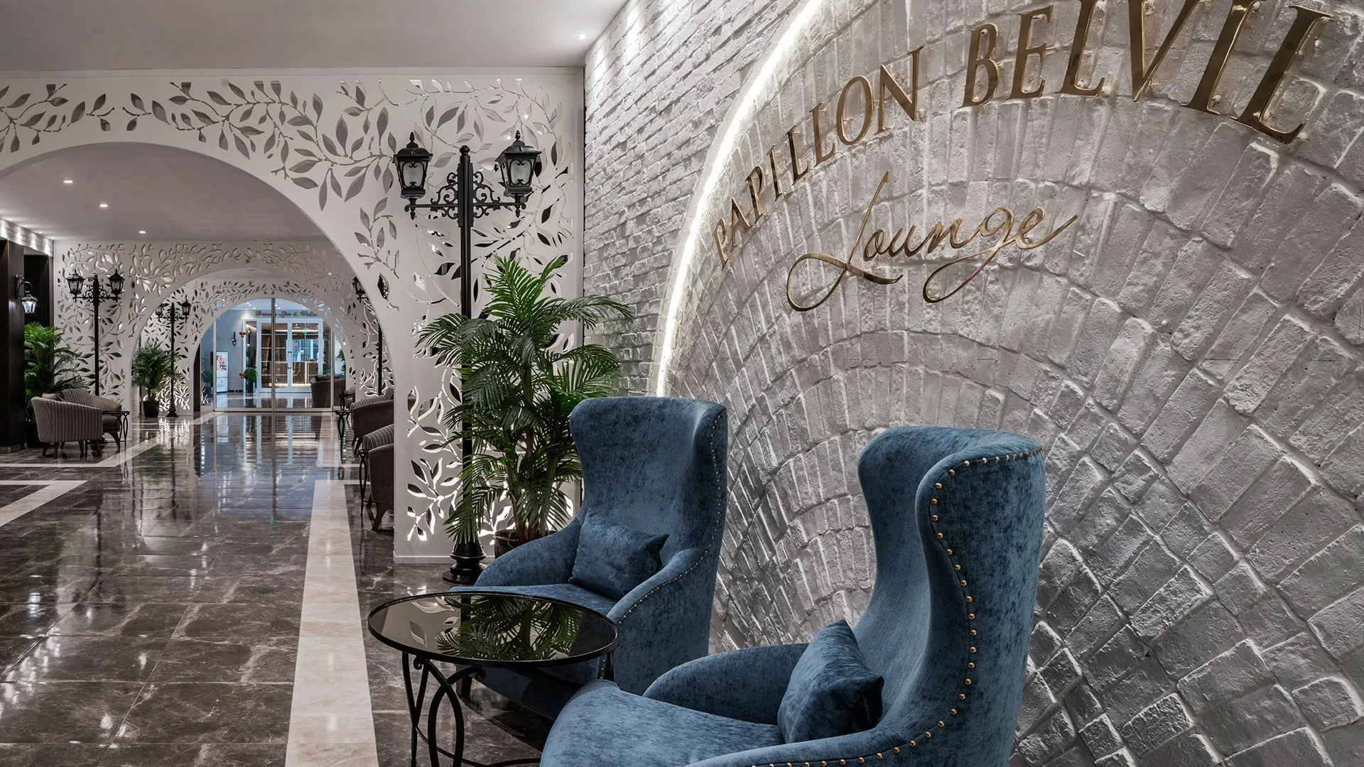 Papillon Belvil Club – 38