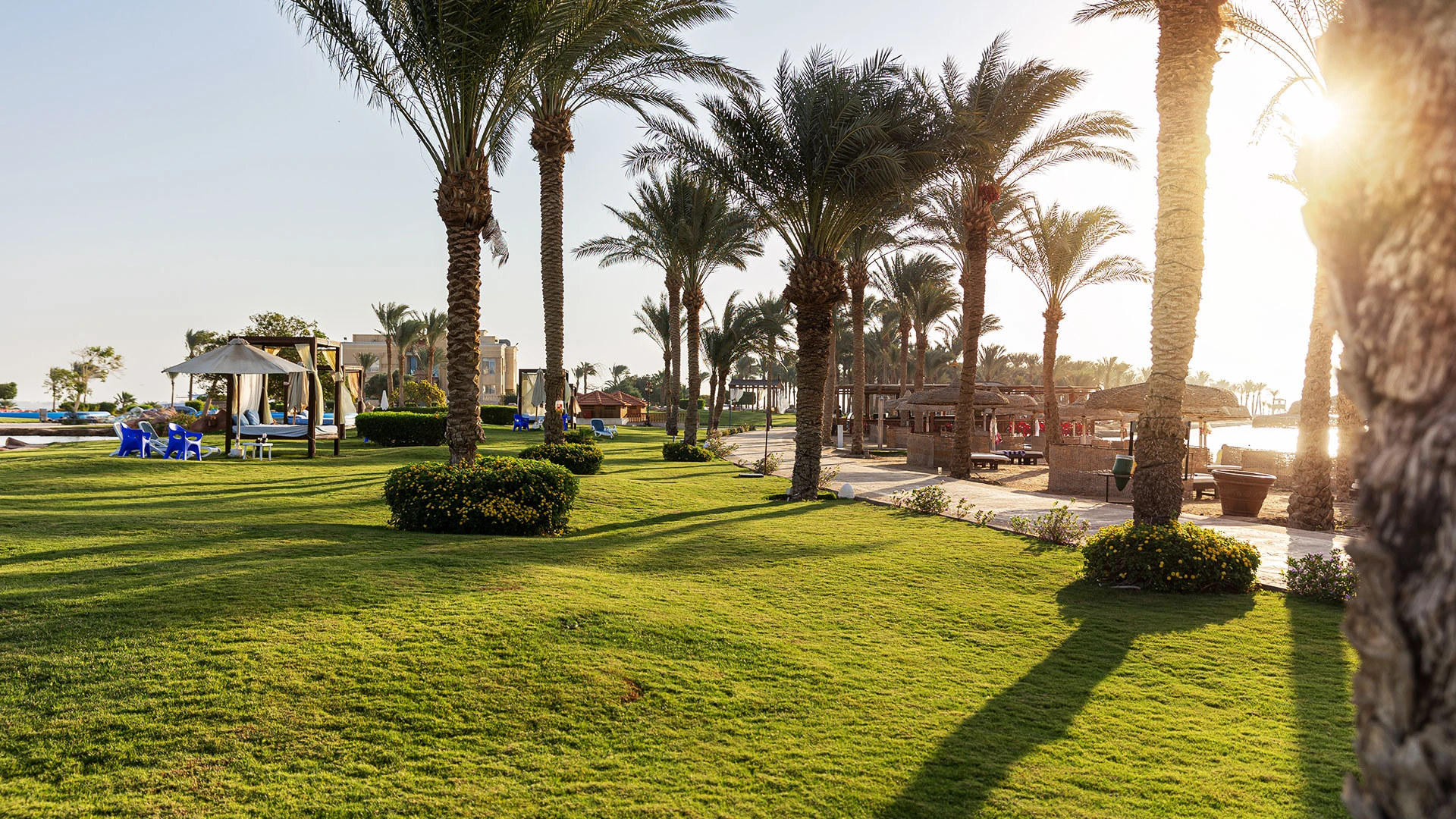 Palm Royale Soma Bay – Перлите на Египет - Хургада и Кайро с полет от София – 32