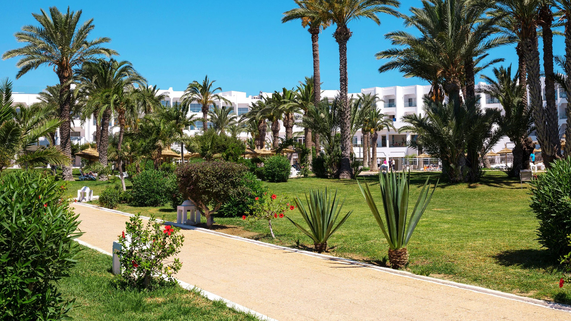TUI Blue Palm Beach Hammamet Superior – ТУНИС 2026 - 8 дни ALL INCLUSIVE почивка с дъх на екзотика - полет от София - Понеделник и Петък – 2